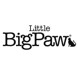 Little Big Paw